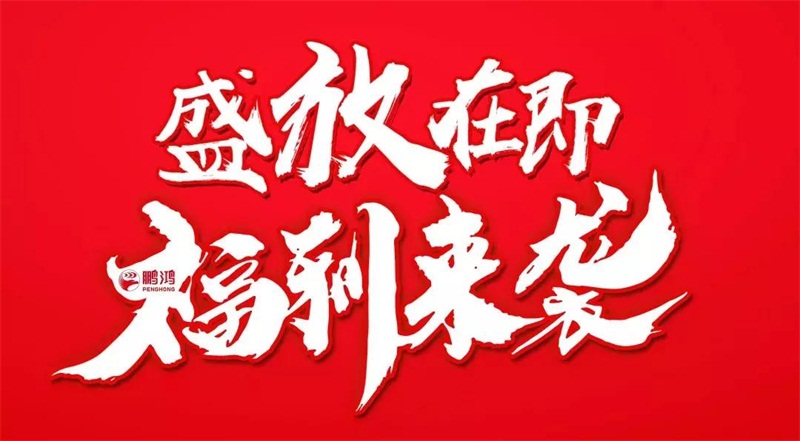 再拓疆域！鵬鴻We+定制&紅星美凱龍聯(lián)袂亮相烏魯木齊