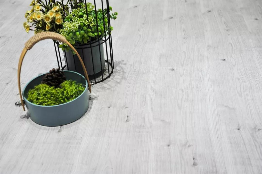 鵬鴻強(qiáng)化地板伊麗莎白系列-5806