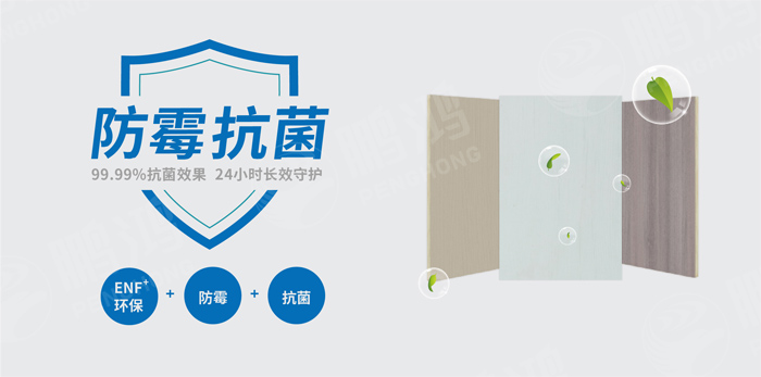 抗菌防霉木質(zhì)裝飾板行業(yè)標準研討工作會圓滿召開